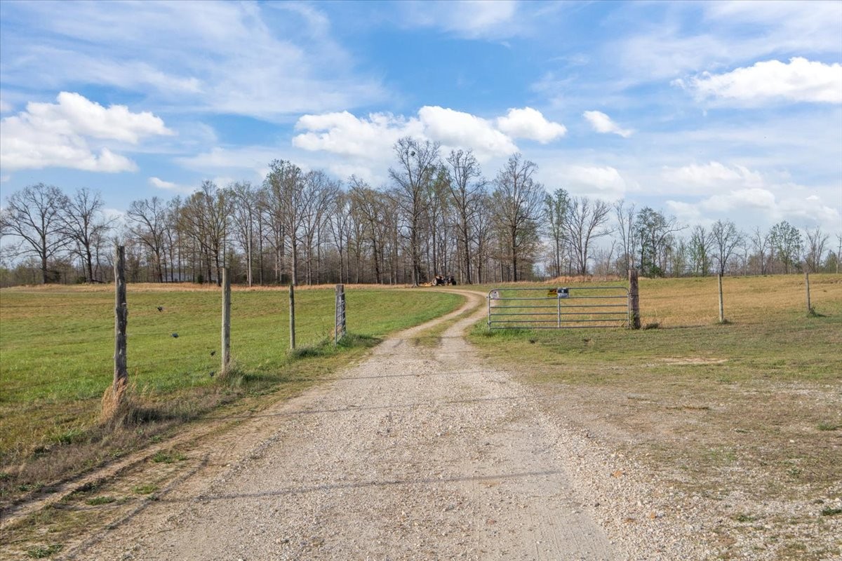 2038 Jack Saunders Road Waverly, TN 37185 - Photo 48 of 63