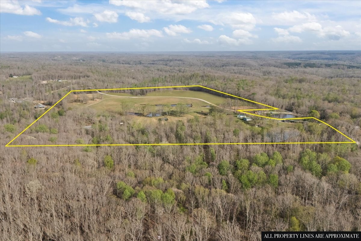 2038 Jack Saunders Road Waverly, TN 37185 - Photo 57 of 63