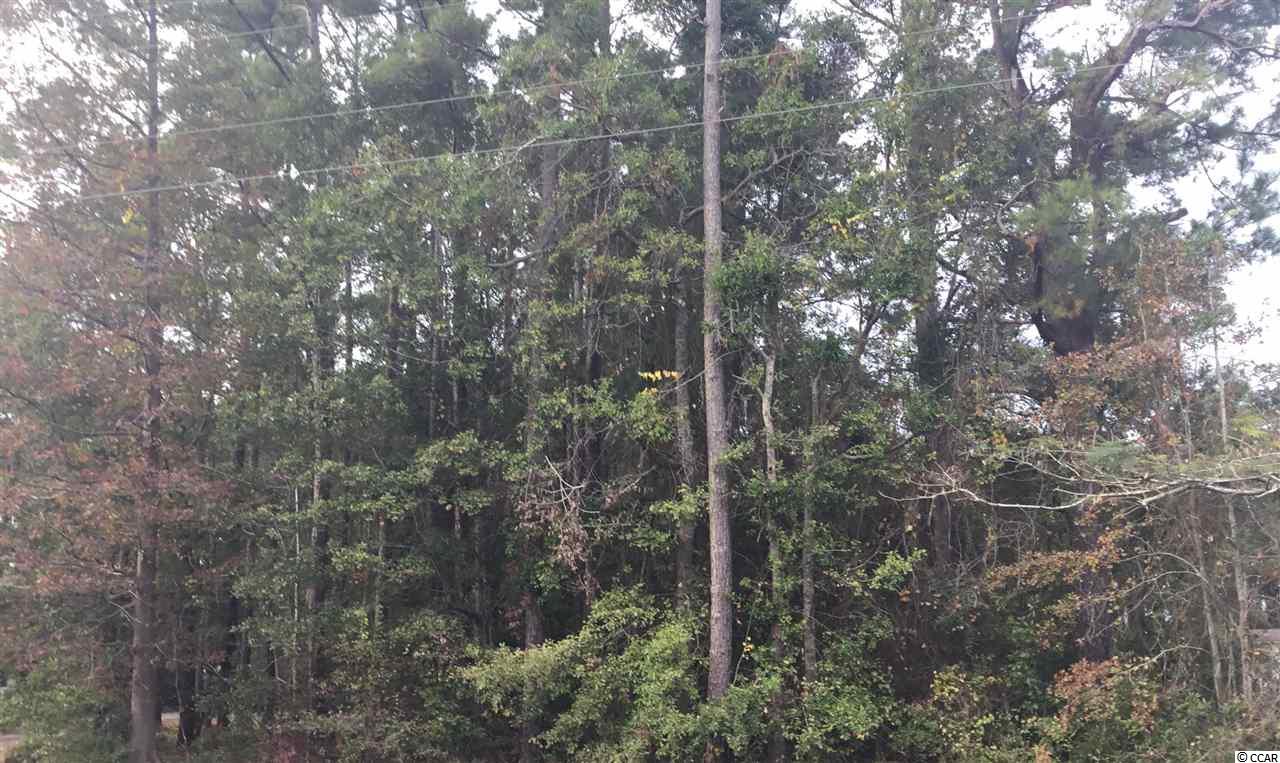 Tbd Castlers Heights Road Longs, SC 29568 - Photo 2 of 4 Gallery Image 2