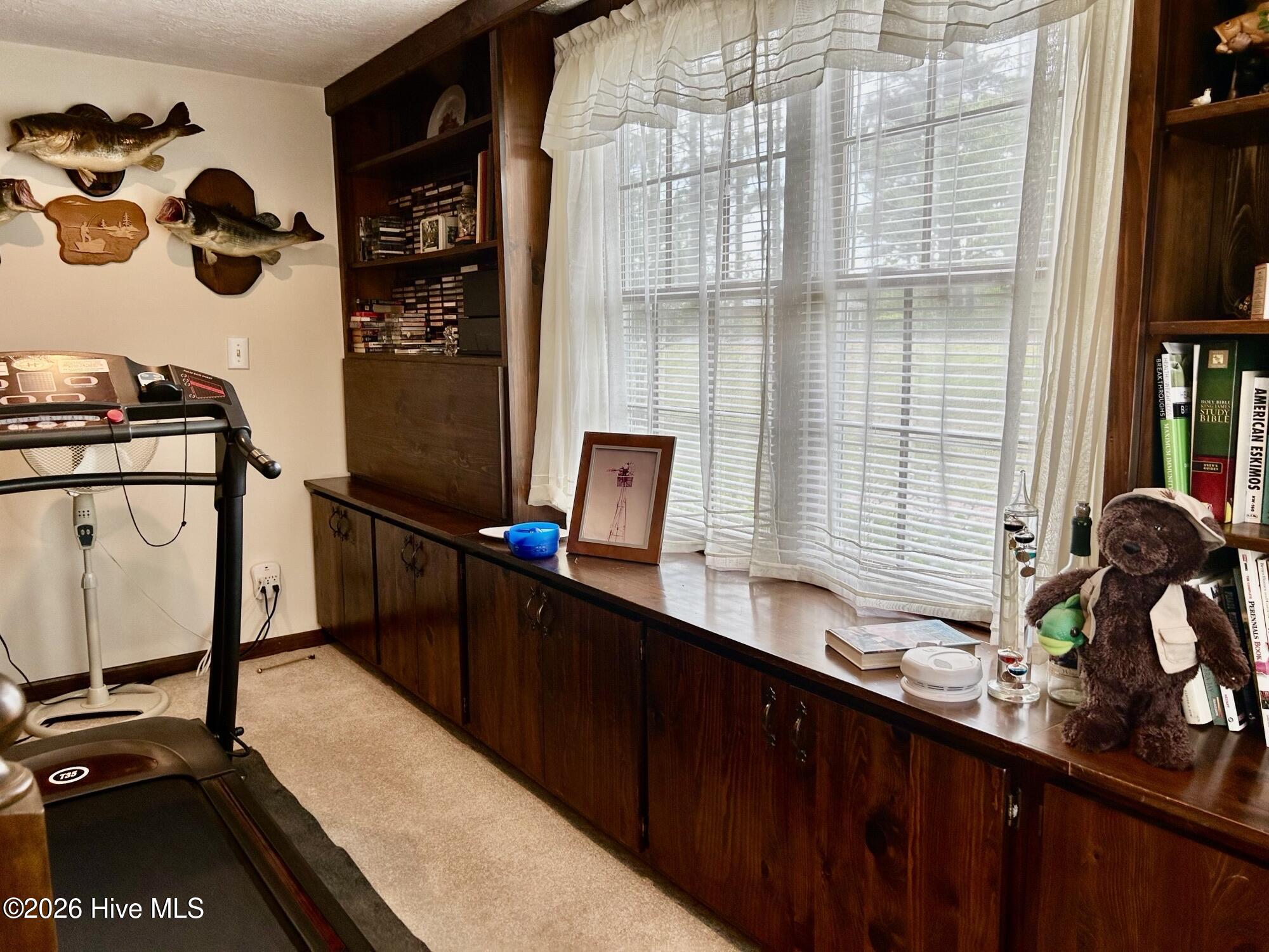 397 Johns Road Maxton, NC 28364 - Photo 14 of 32 Den/Bookcase