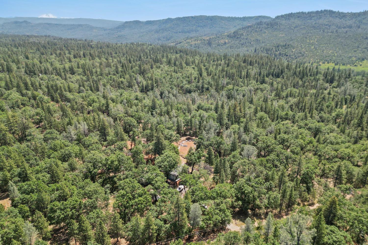 10707 Hufford Ranch Road Whitmore, CA 96096 - Photo 5 of 39