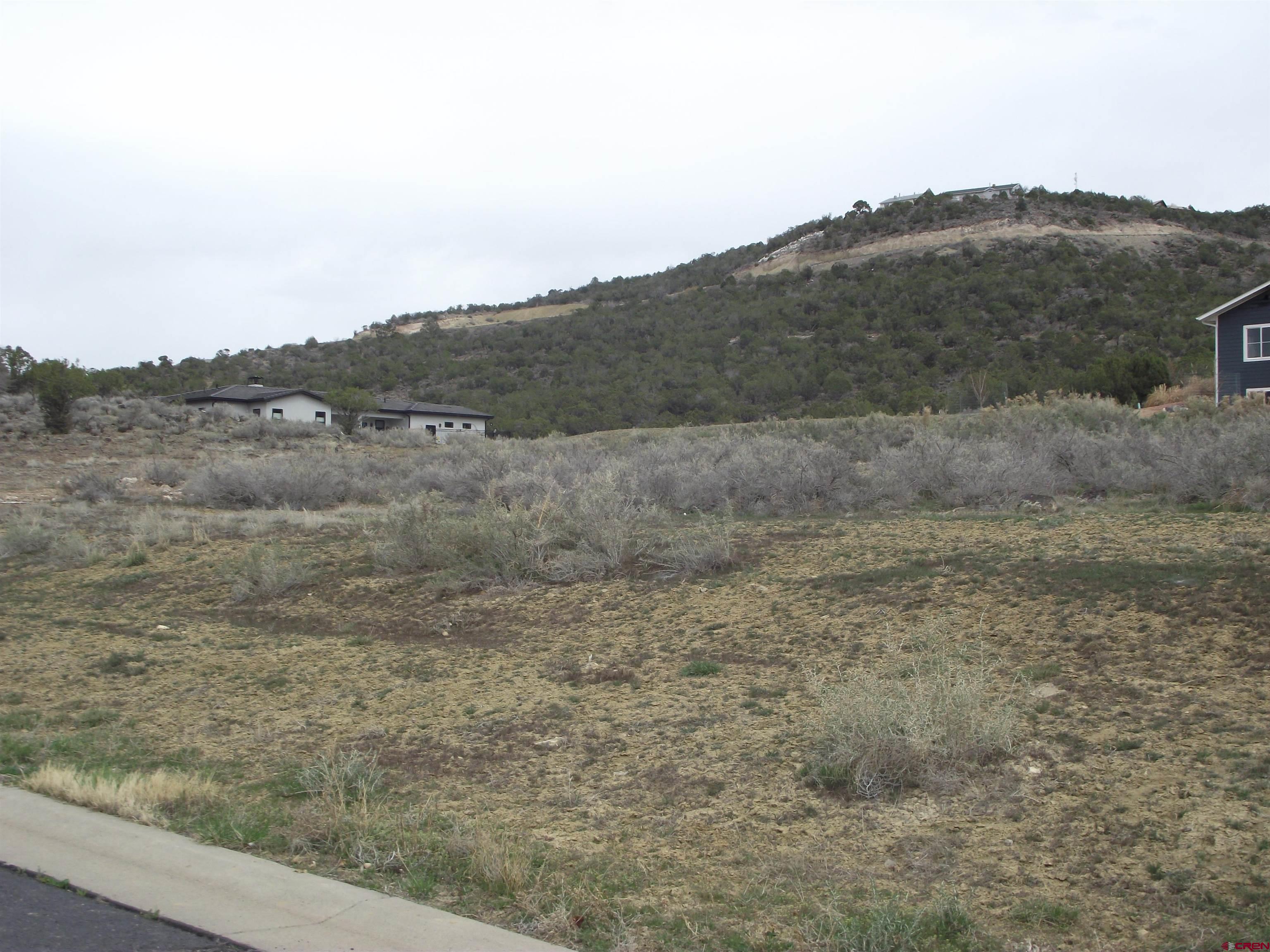 735 Southeast Pinyon Street Cedaredge, CO 81413 - Photo 2 of 12 a view of a dry yard with green space