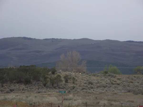 a view of a dry yard with mountains in the background