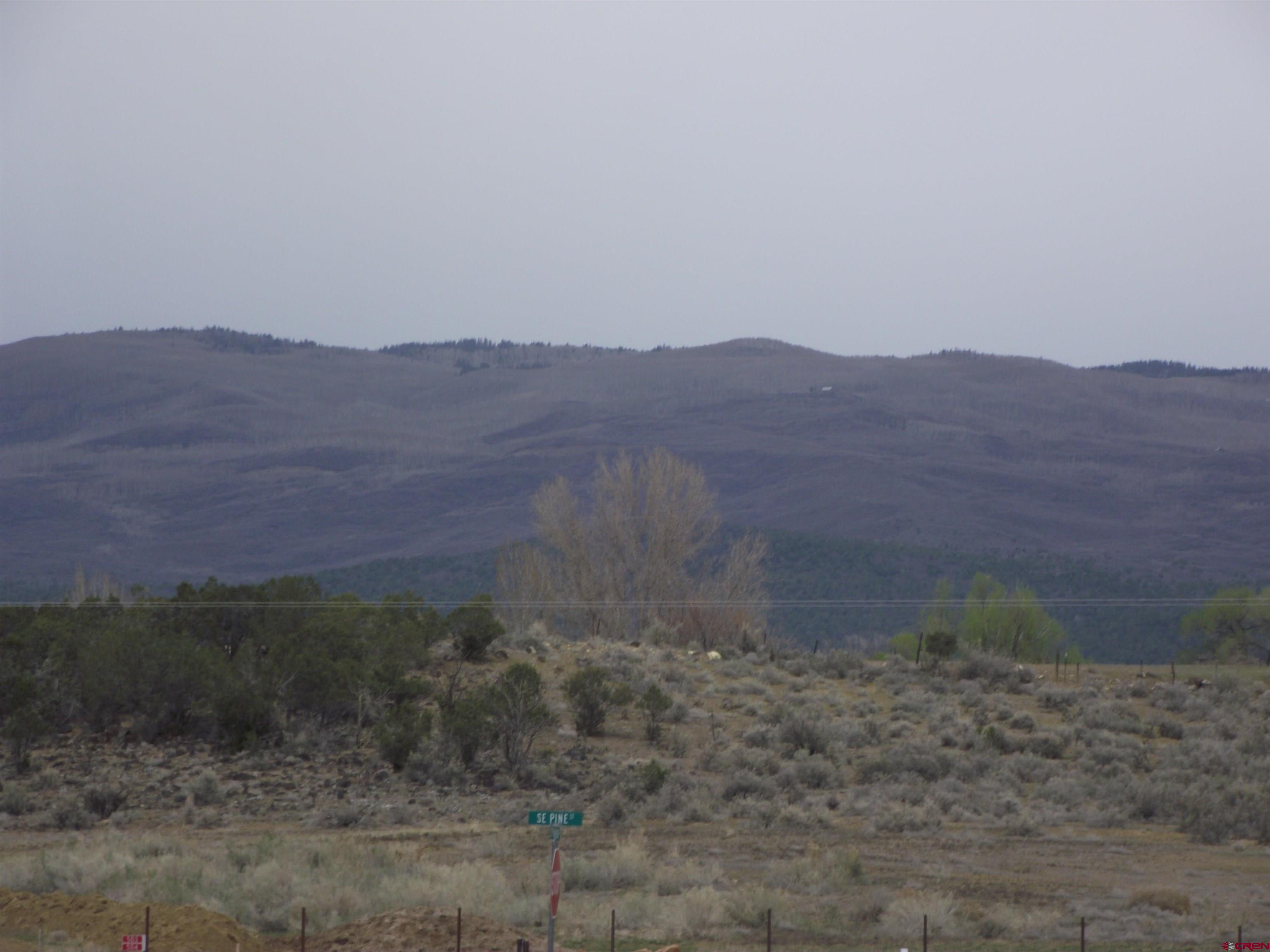 735 Southeast Pinyon Street Cedaredge, CO 81413 - Photo 6 of 12 a view of a dry yard with mountains in the background
