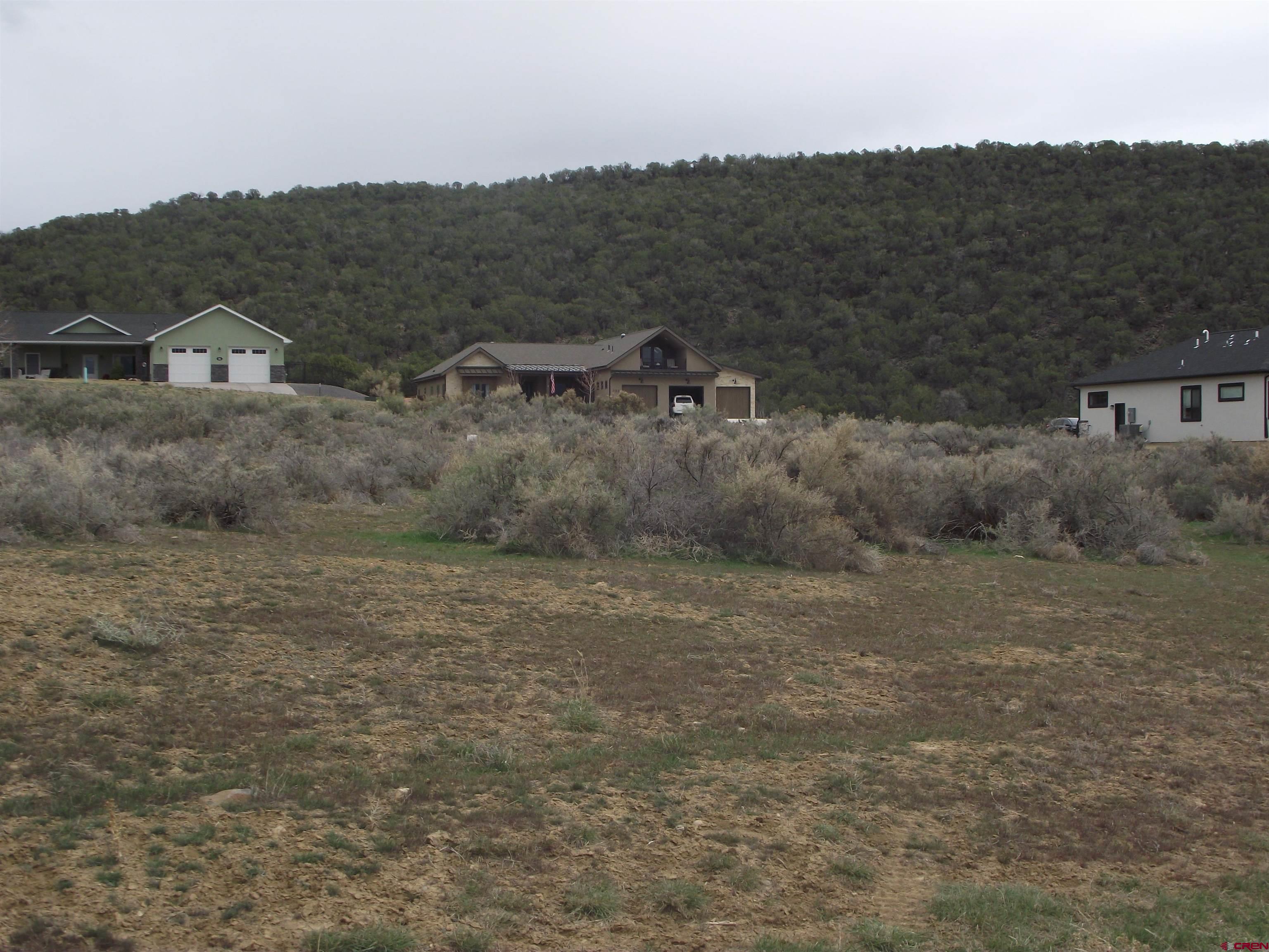 735 Southeast Pinyon Street Cedaredge, CO 81413 - Photo 8 of 12 a view of a dry yard with trees