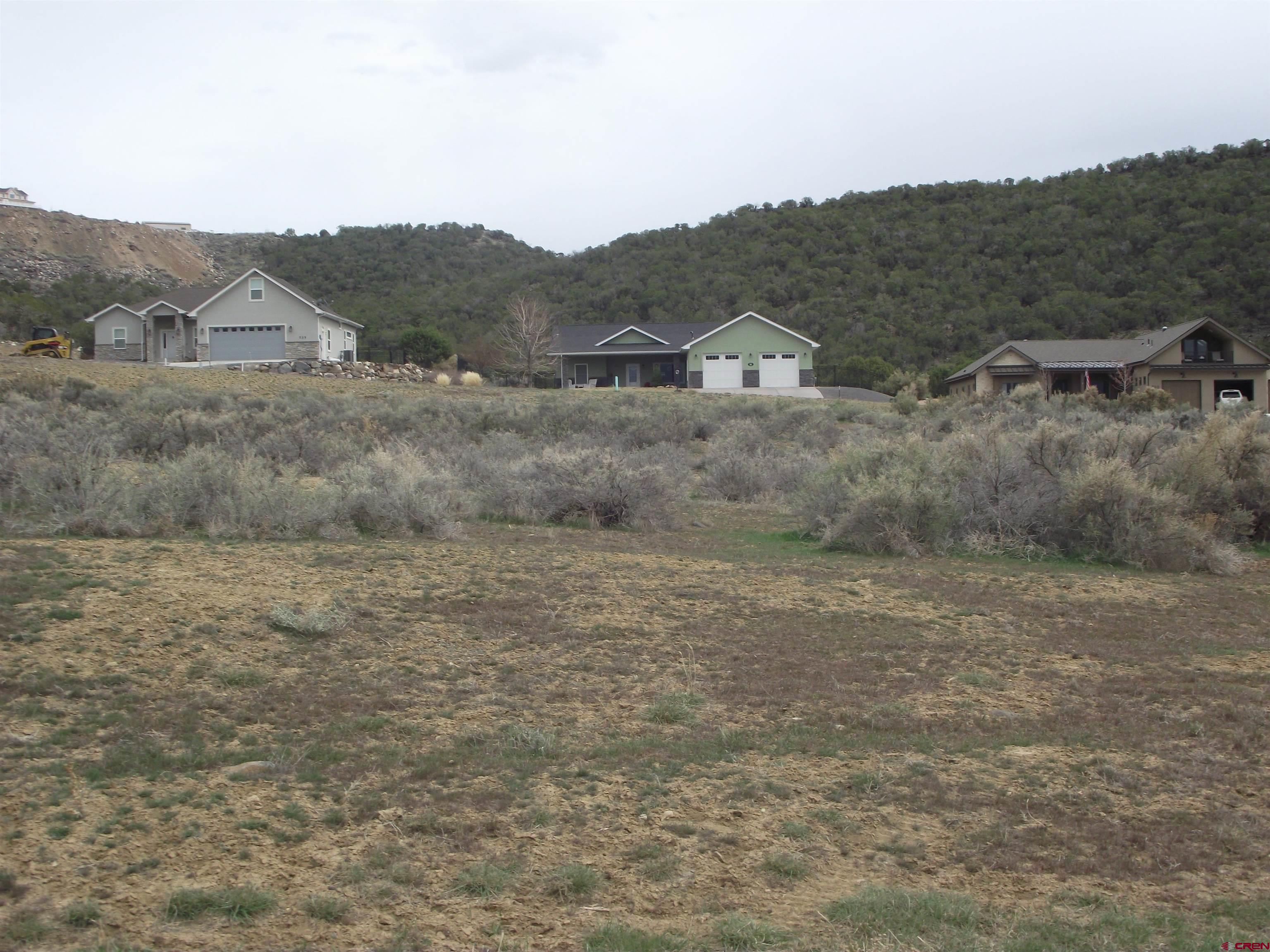 735 Southeast Pinyon Street Cedaredge, CO 81413 - Photo 9 of 12 a view of a dry grass field