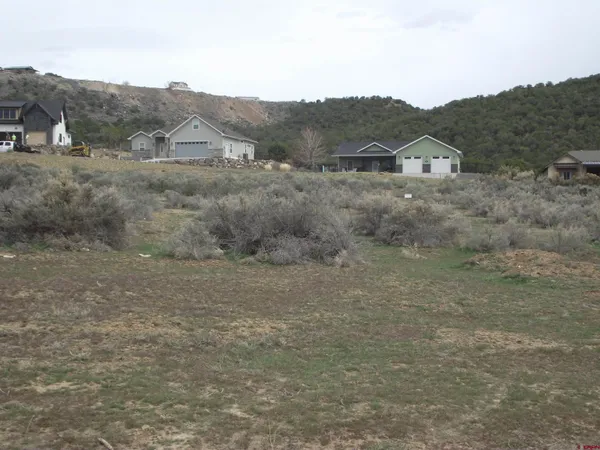 a view of a dry field with mountains in the background