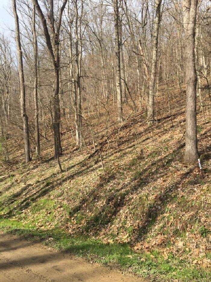 0 Rabbit Ridge Road Howard, OH 43028 - Photo 3 of 4 Gallery Image 3