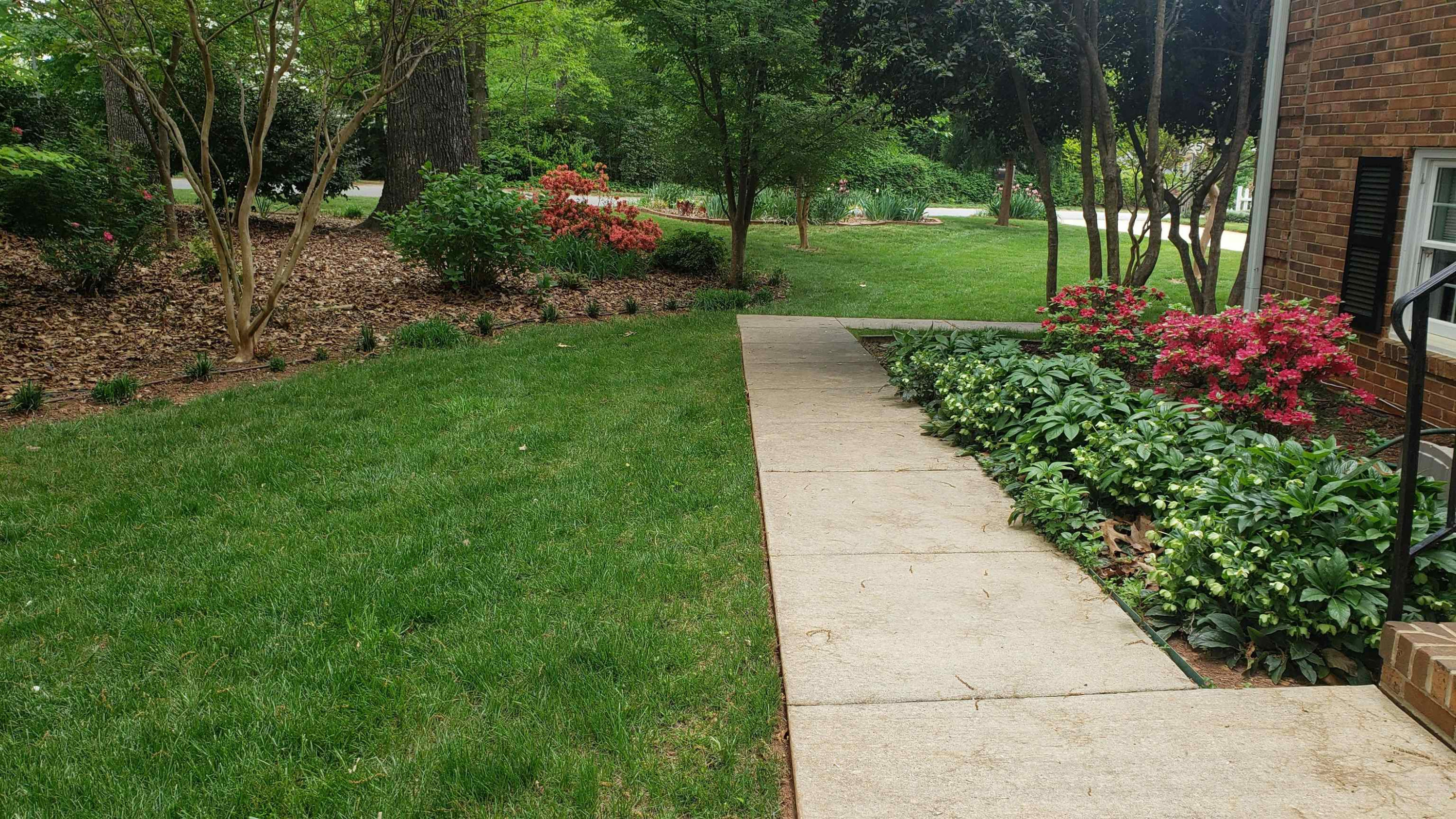 316 Oak Ridge Road Cary, NC 27511 - Photo 69 of 80 Springtime!