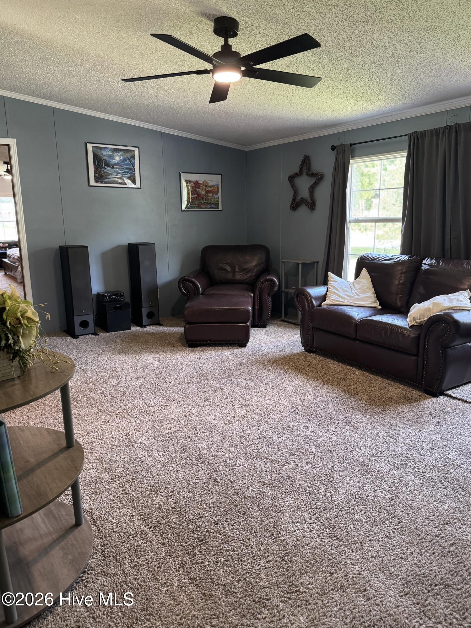 177 Ward's Road Knotts Island, NC 27950 - Photo 9 of 45