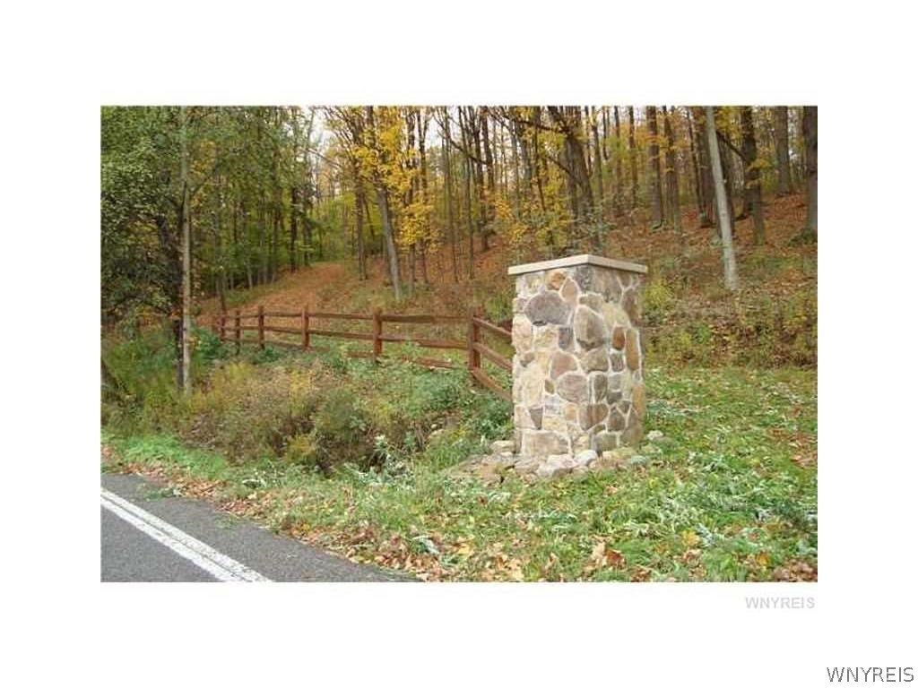 Vl Irish Road Colden, NY 14033 - Photo 1 of 1