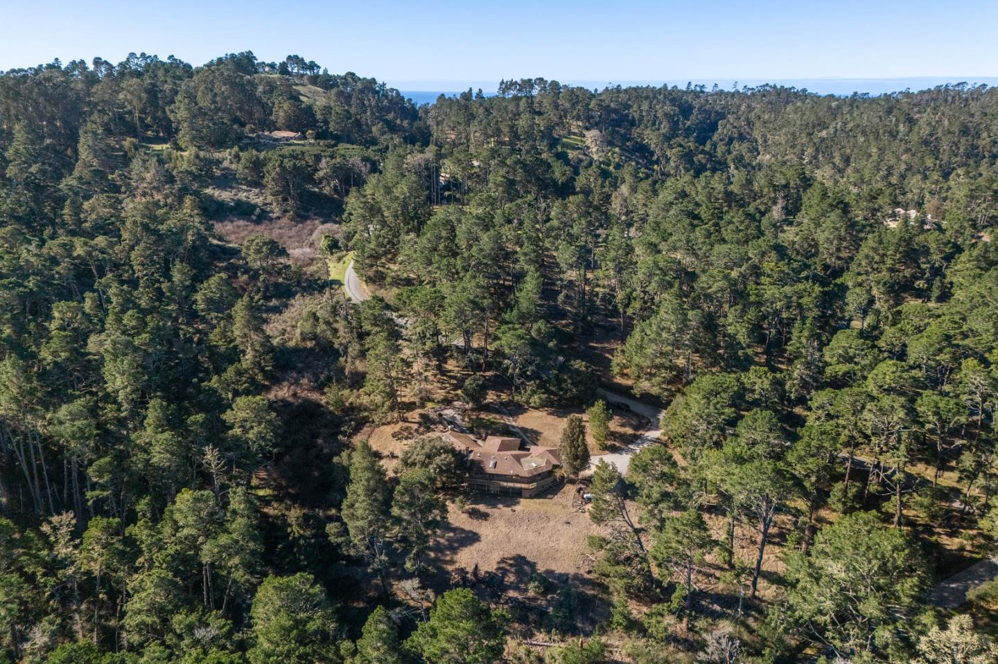 537 Aguajito Road Carmel, CA 93923 - Photo 6 of 7 a view of a forest with a forest