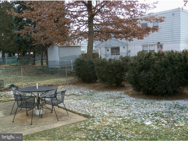 408 Densmore Road Philadelphia, PA 19116 - Photo 4 of 5 Back Yard