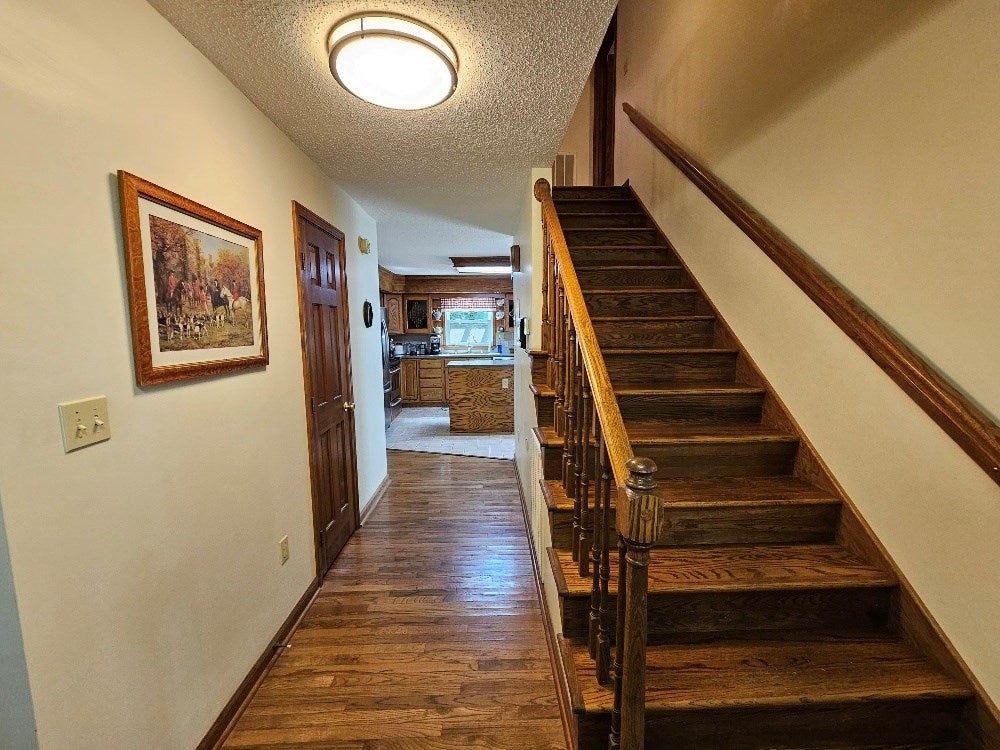 402 Spring Hollow Road Marion, VA 24354 - Photo 18 of 48 Gallery Image 18