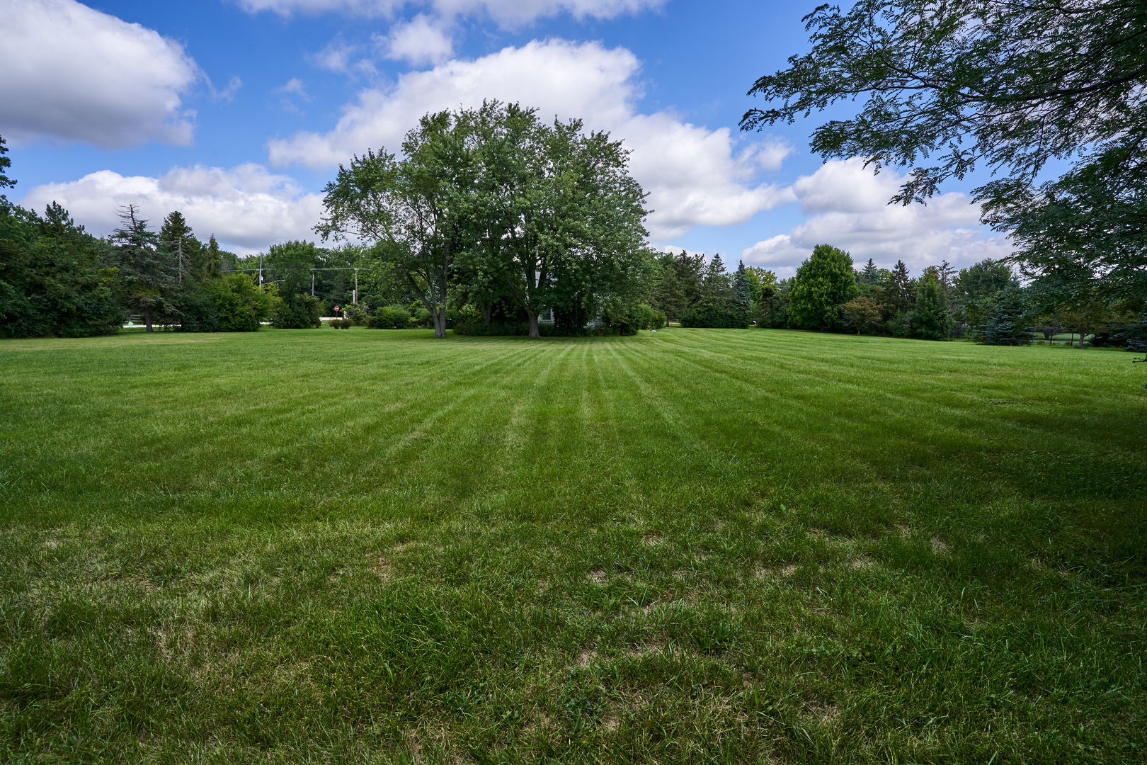 24W175 Hobson Road Naperville, IL 60540 - Photo 7 of 30 a view of field with green space