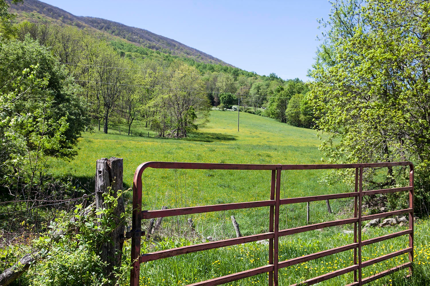 2090 Pete Amos Road Lindside, WV 24951 - Photo 77 of 96 Gallery Image 77