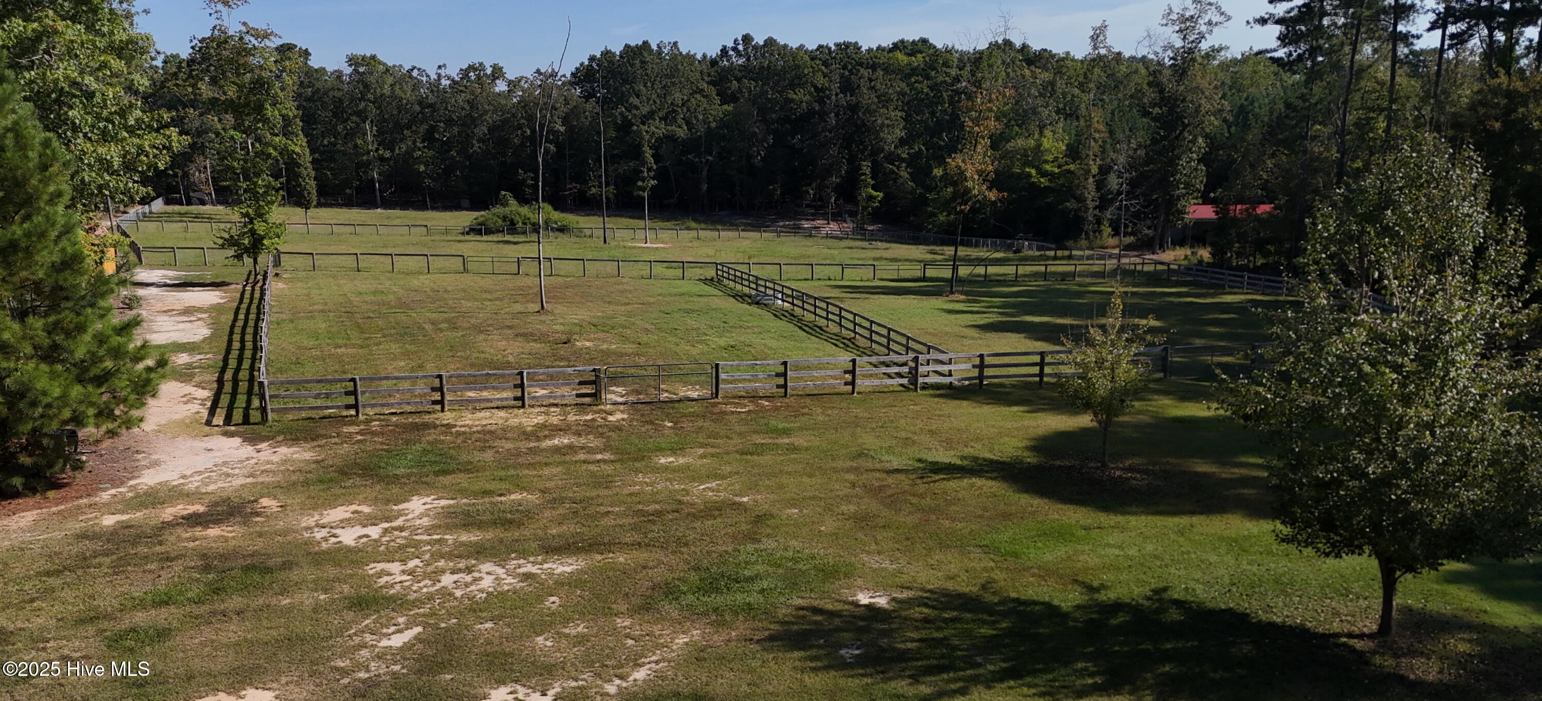 104 Bridle Path Lane Carthage, NC 28327 - Photo 11 of 90 DJI_20250924103036_0274_D