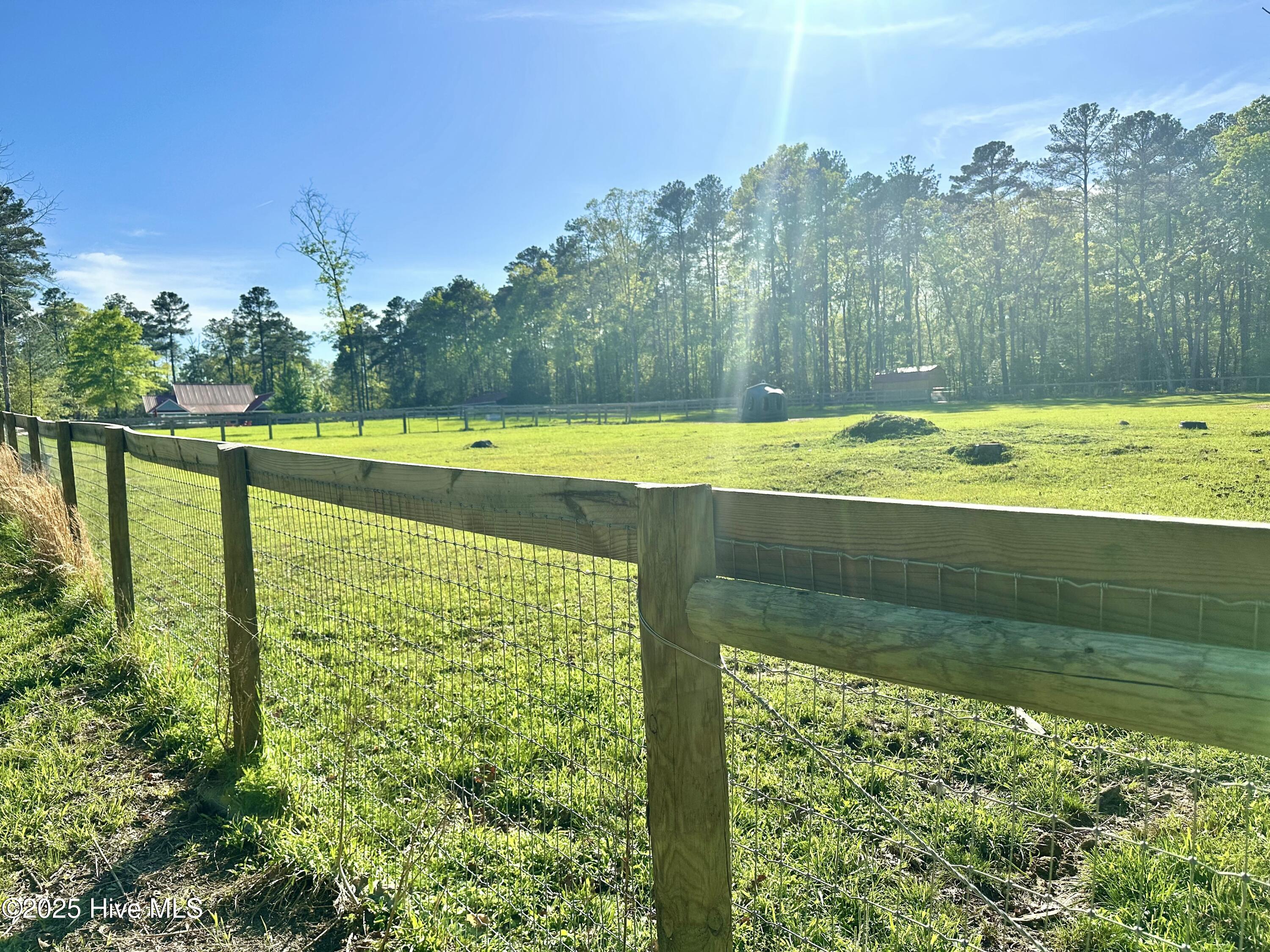 104 Bridle Path Lane Carthage, NC 28327 - Photo 14 of 90 No climb around the back and sides