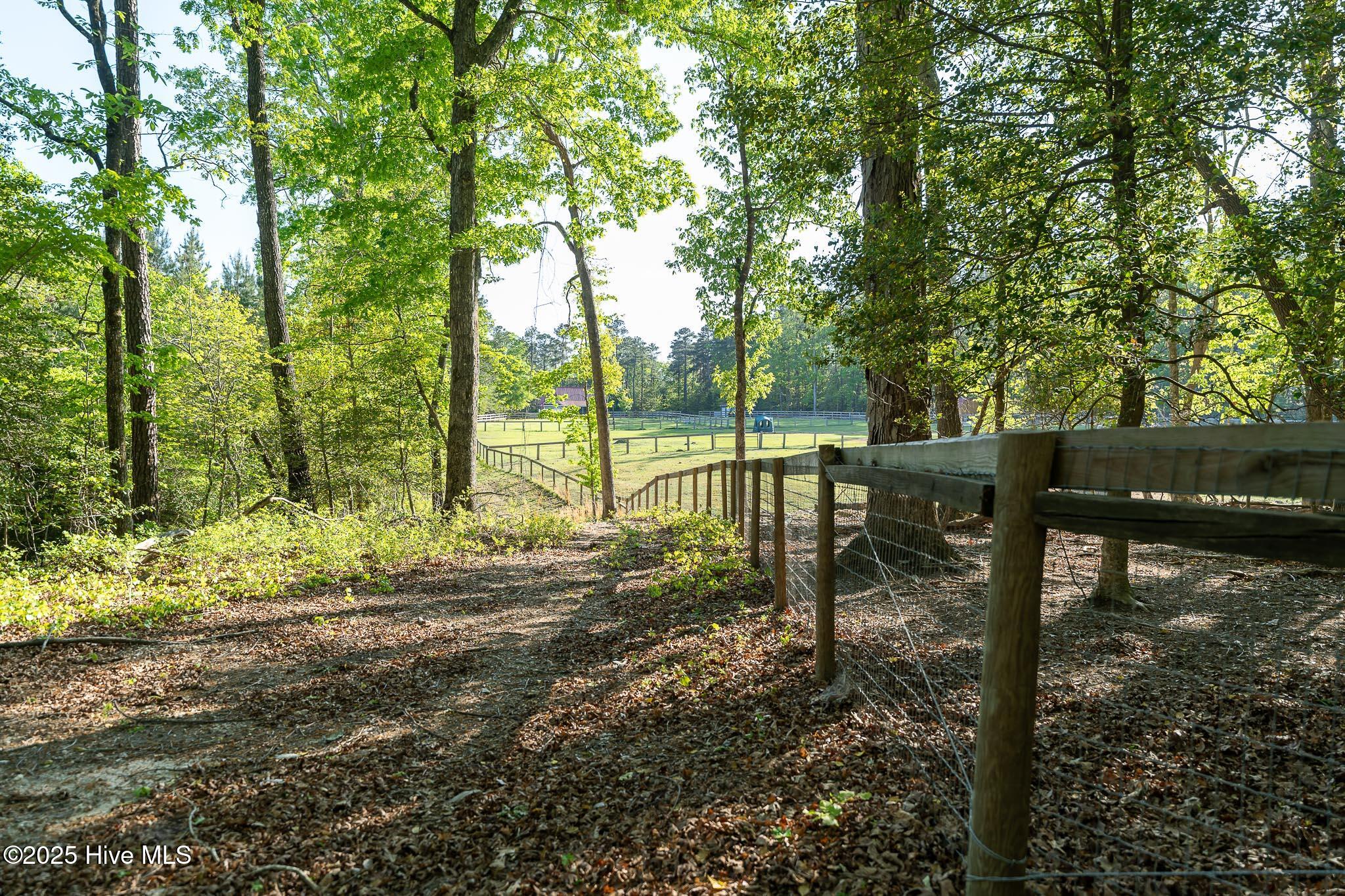 104 Bridle Path Lane Carthage, NC 28327 - Photo 18 of 90 DSC04919