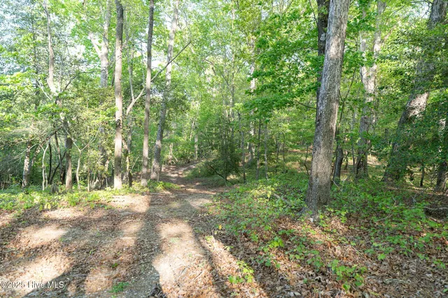 $895,000 | 104 Bridle Path Lane, Carthage, NC 28327