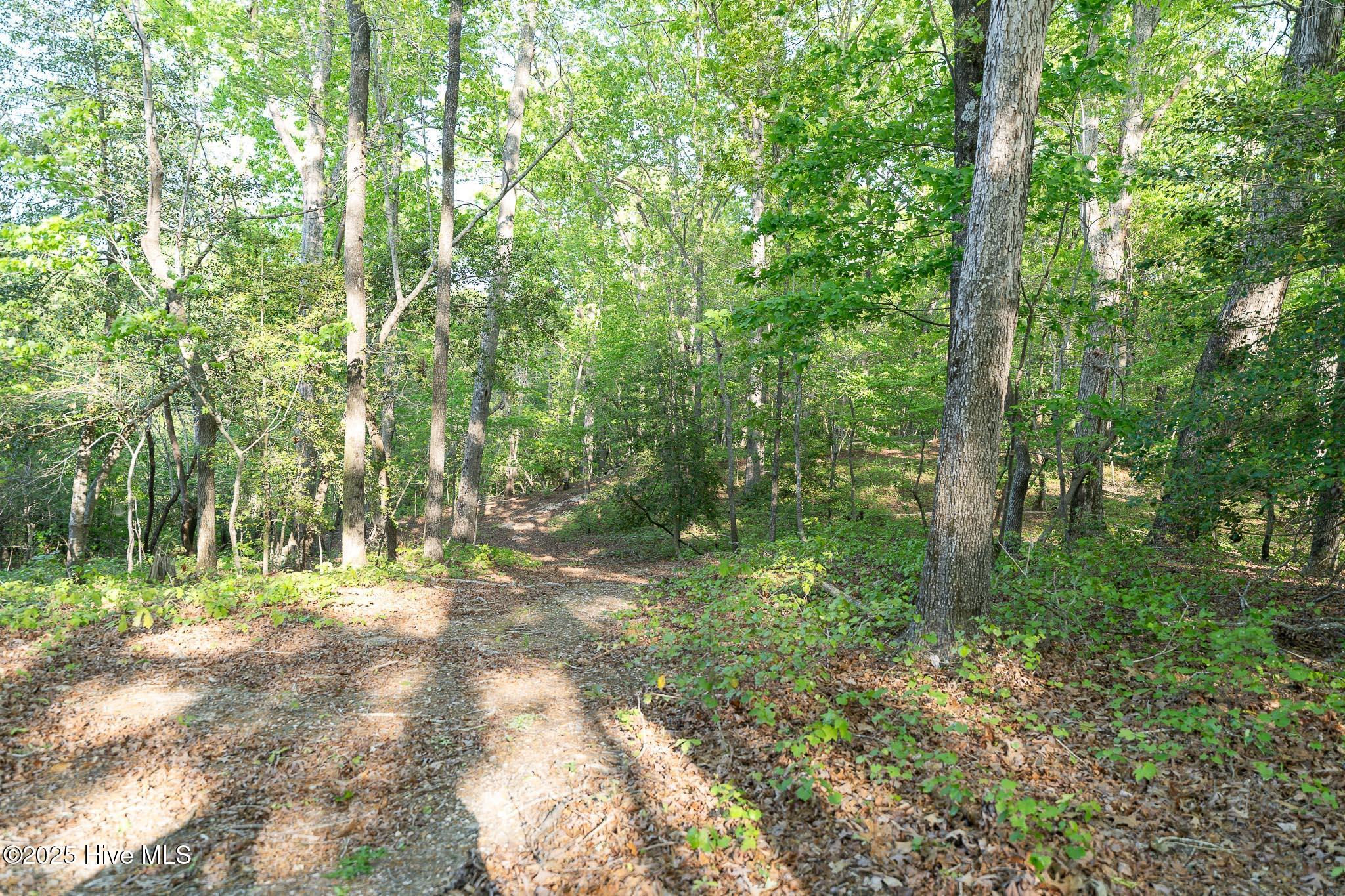 104 Bridle Path Lane Carthage, NC 28327 - Photo 19 of 90 DSC04915