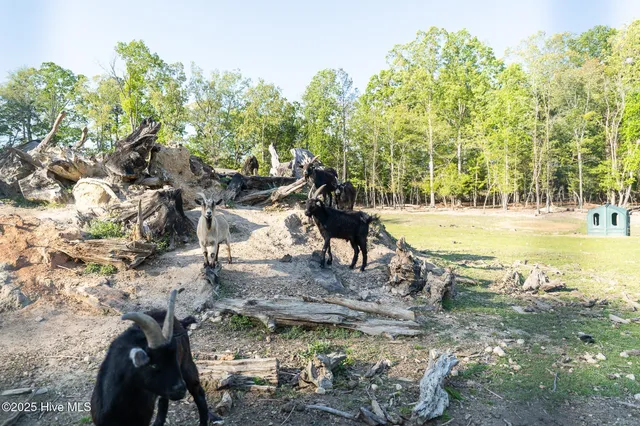 $895,000 | 104 Bridle Path Lane, Carthage, NC 28327