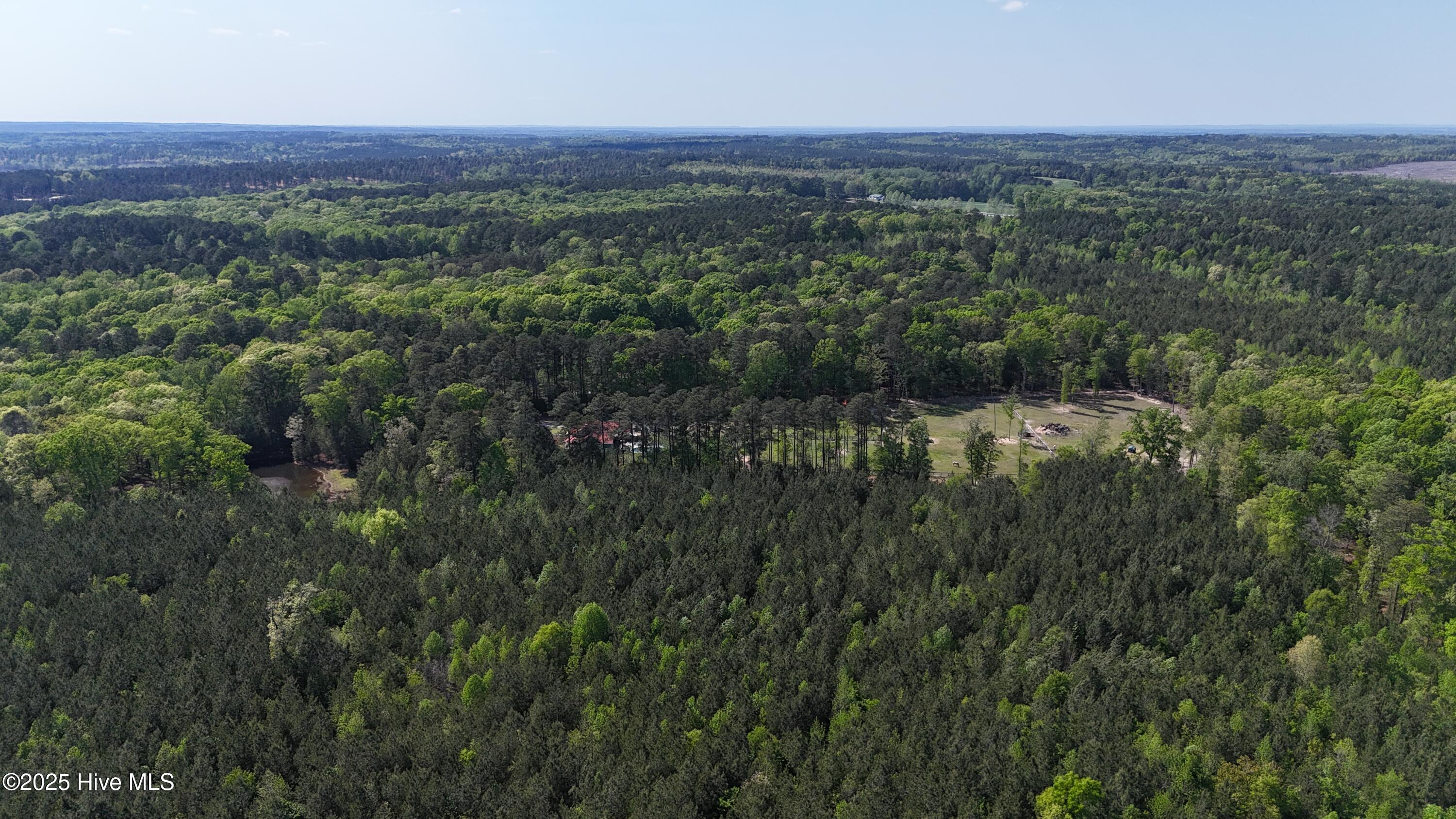 104 Bridle Path Lane Carthage, NC 28327 - Photo 25 of 90 Pine stand