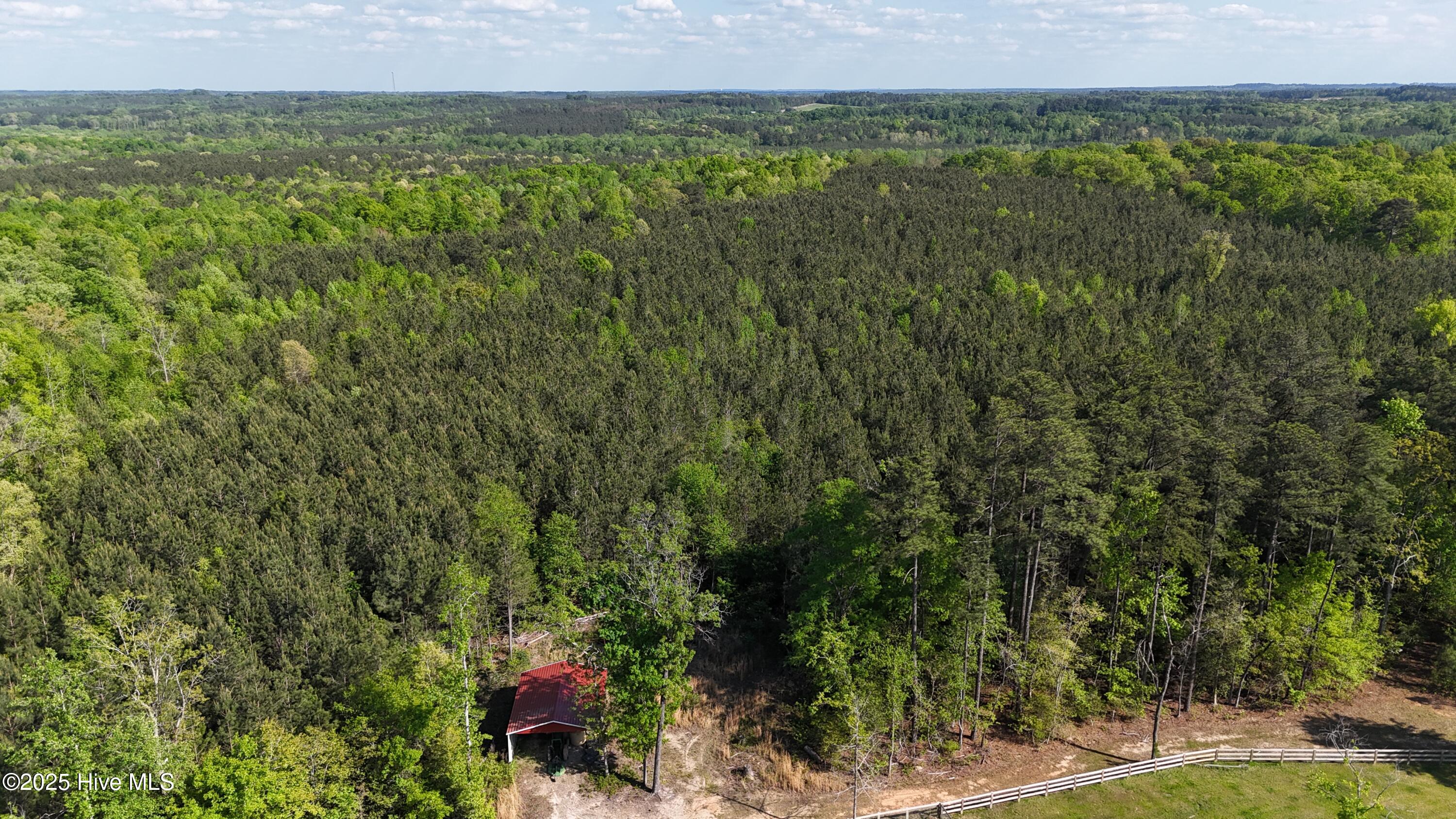104 Bridle Path Lane Carthage, NC 28327 - Photo 26 of 90 Timber Stand