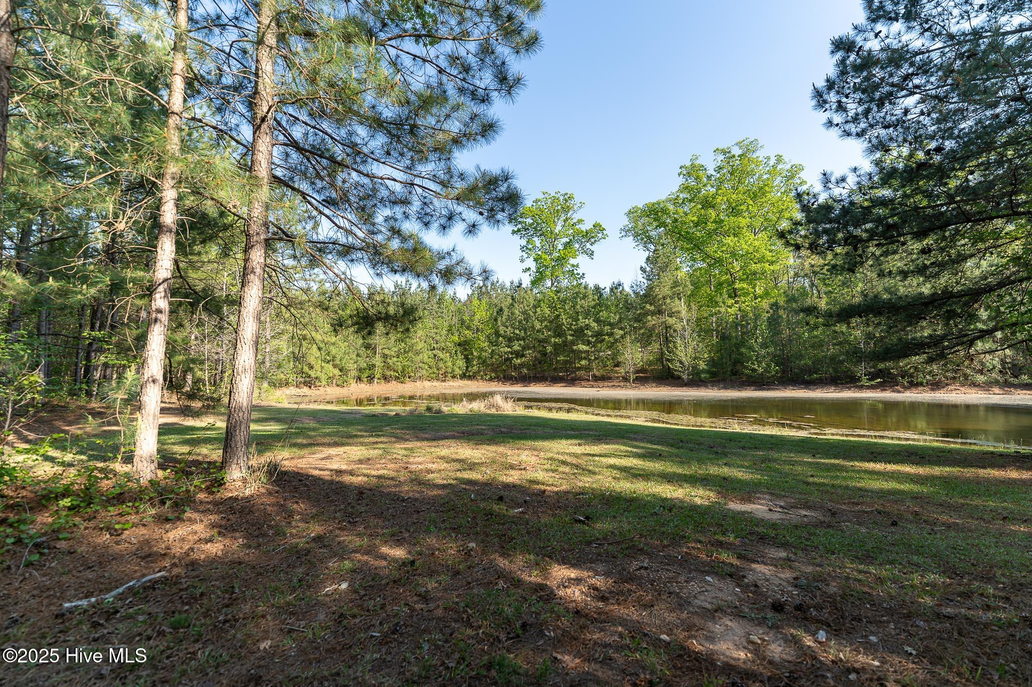 104 Bridle Path Lane Carthage, NC 28327 - Photo 30 of 90 Pond on Property
