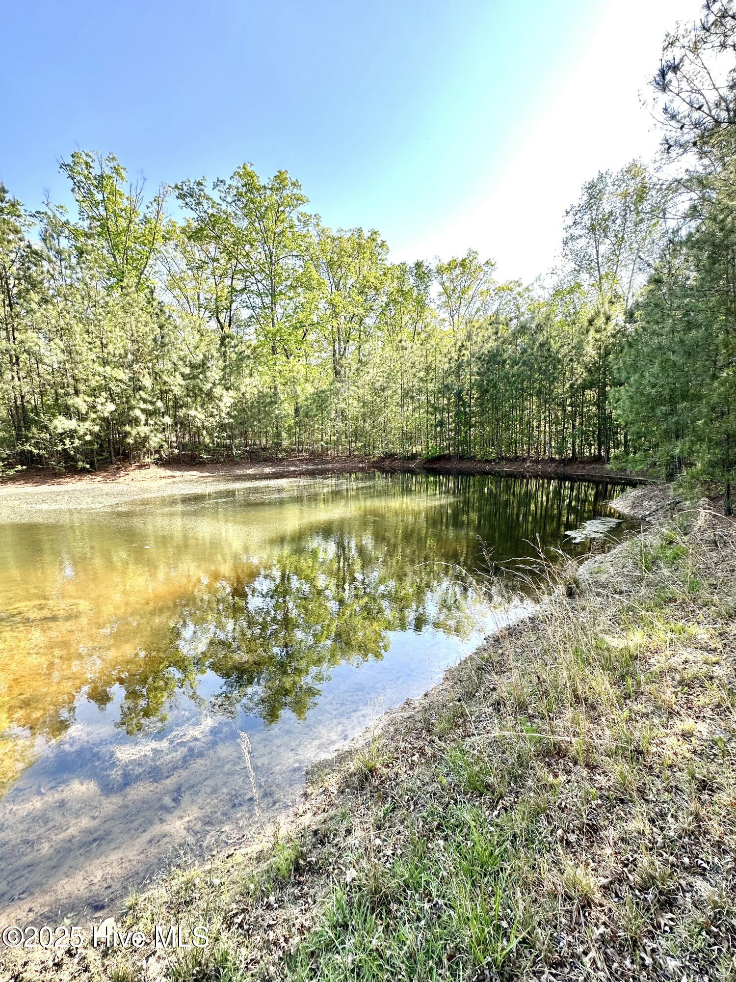 104 Bridle Path Lane Carthage, NC 28327 - Photo 31 of 90 Pond on Property