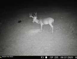 $895,000 | 104 Bridle Path Lane, Carthage, NC 28327