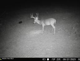 104 Bridle Path Lane Carthage, NC 28327 - Photo 33 of 90 Great Hunting