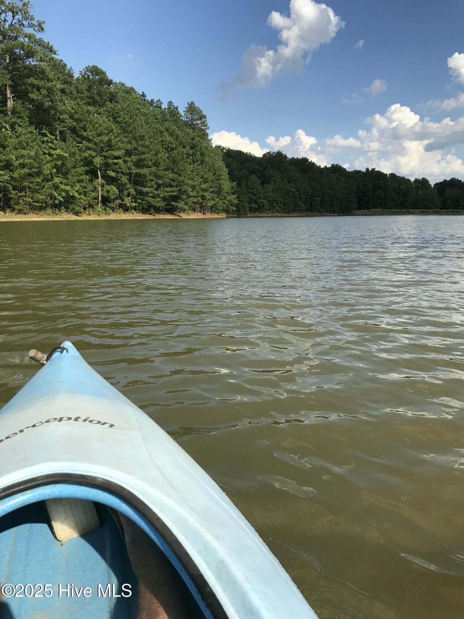 104 Bridle Path Lane Carthage, NC 28327 - Photo 86 of 90 IMG_1067