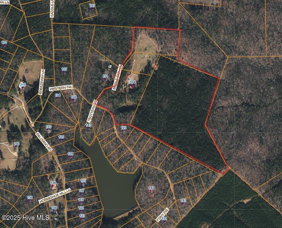 104 Bridle Path Lane Carthage, NC 28327 - Photo 88 of 90 Includes extra 27.88 acre timber lot