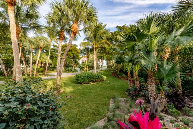 a view of yard with tree and a yard