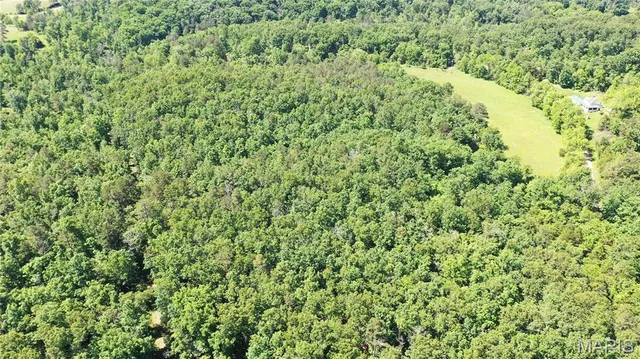 $55,000 | 1394 Parcel A) County Road 6580, Salem, MO 65560