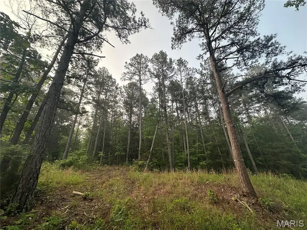 $55,000 | 1394 Parcel A) County Road 6580, Salem, MO 65560