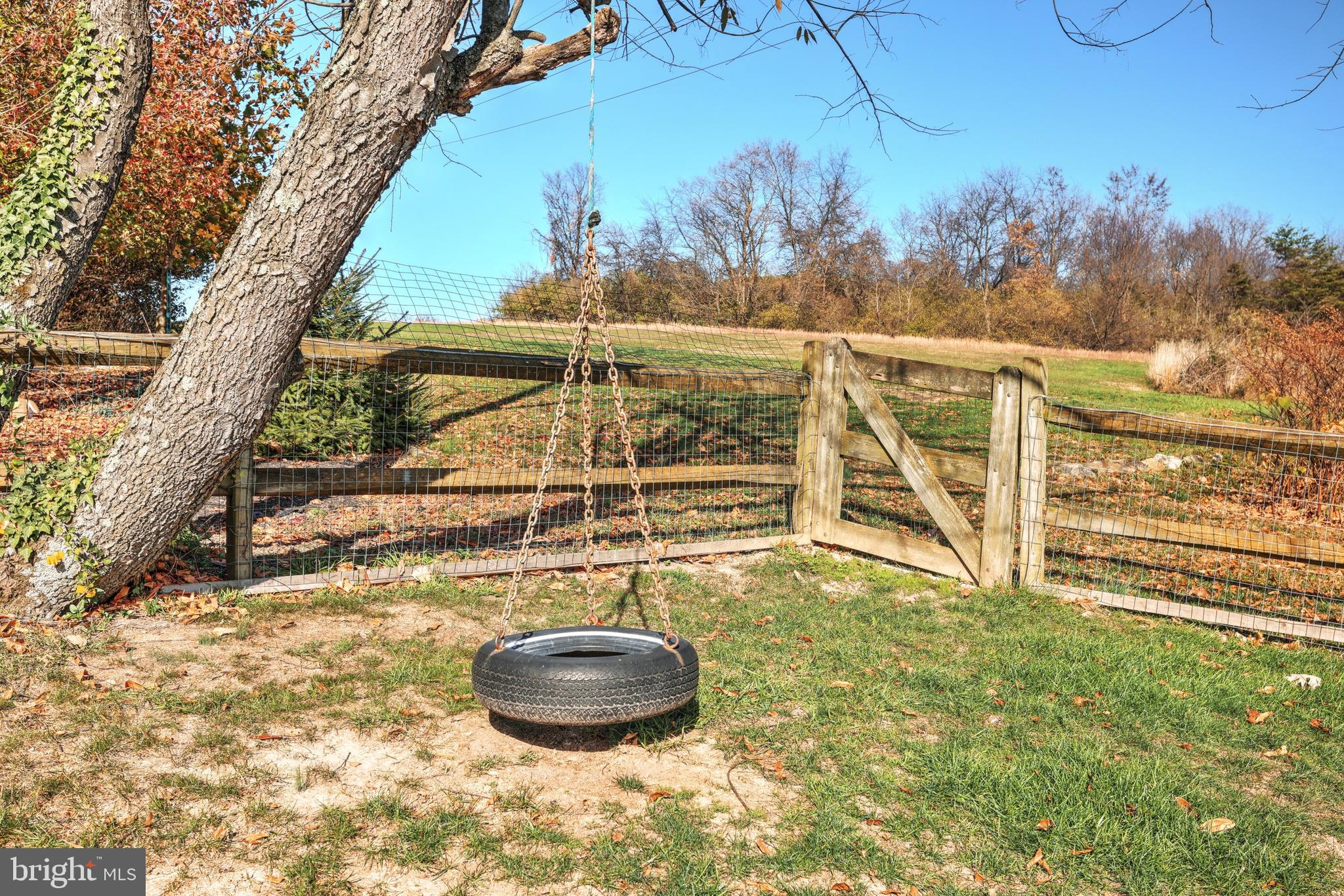 1140 Kalreda Road York, PA 17406 - Photo 42 of 51 Back yard tire swing