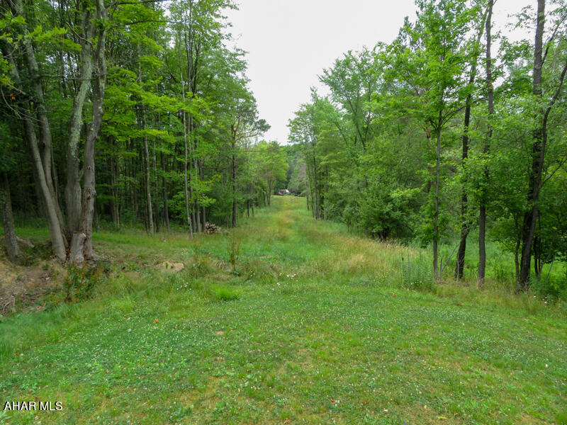 300-block 300-block Peaceful Valley Road Windber, PA 15963 - Photo 3 of 14 Gallery Image 3