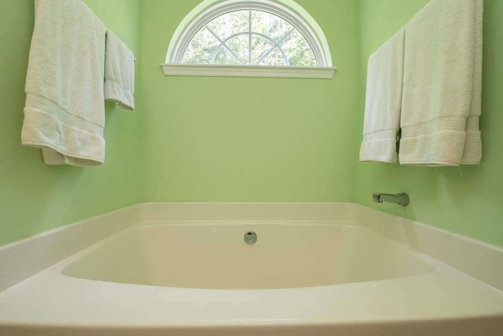 146 Long Ridge Loop Aiken, SC 29803 - Photo 23 of 39 Master Bathroom Garden Tub