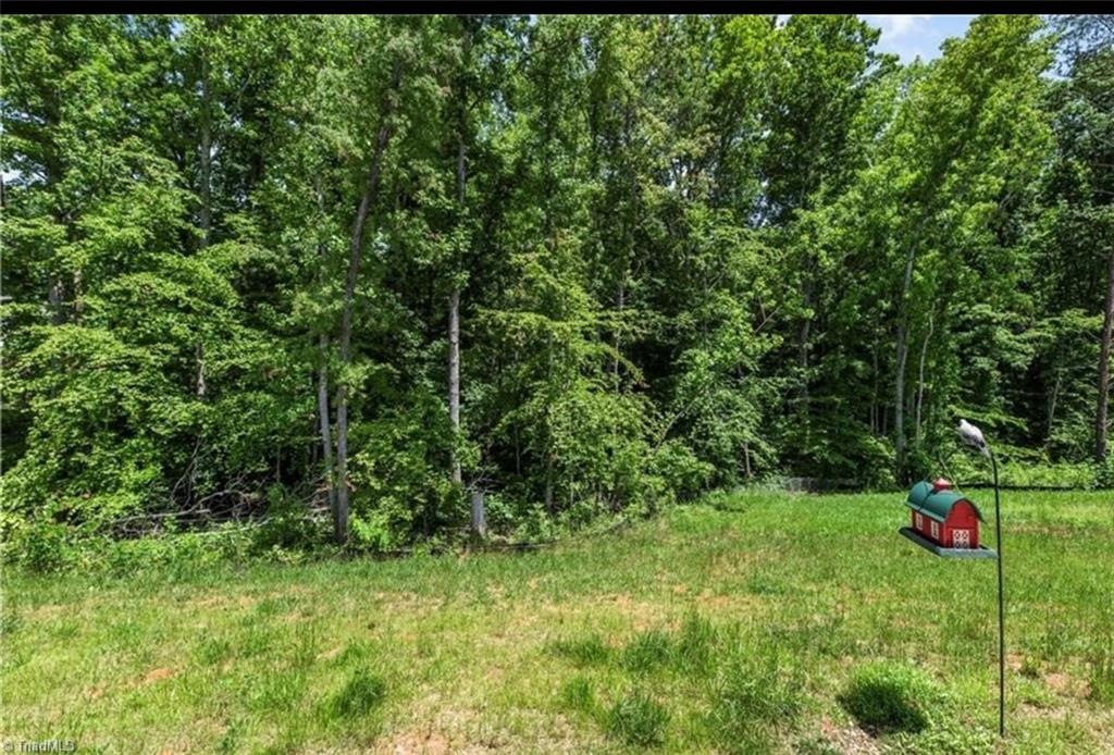 701 Whitney Road Mocksville, NC 27028 - Photo 14 of 15