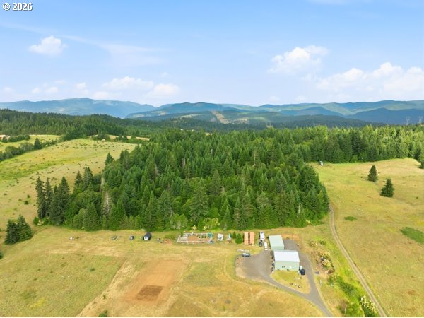 Snowden Road White Salmon, WA 98672 - Photo 12 of 26