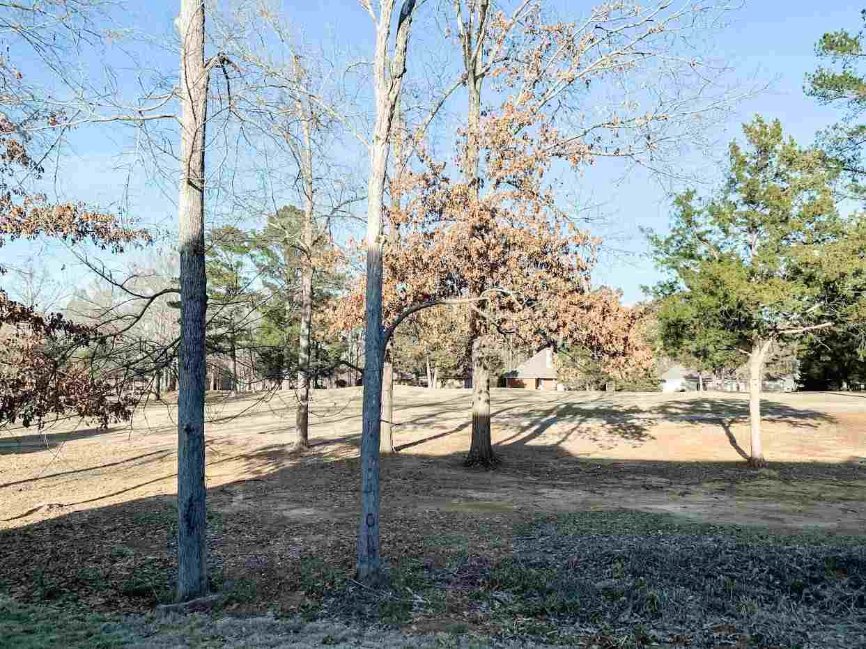 108 Pine Ridge Drive Canton, MS 39046 - Photo 47 of 48 Photo 47