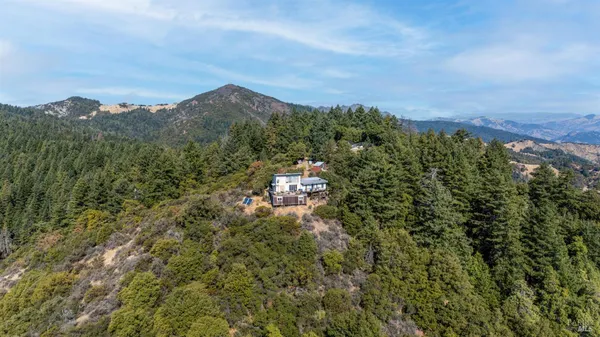 a view of a city with lush green forest