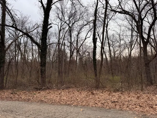 $18,000 | Lakeview Drive, Dowagiac, MI 49047
