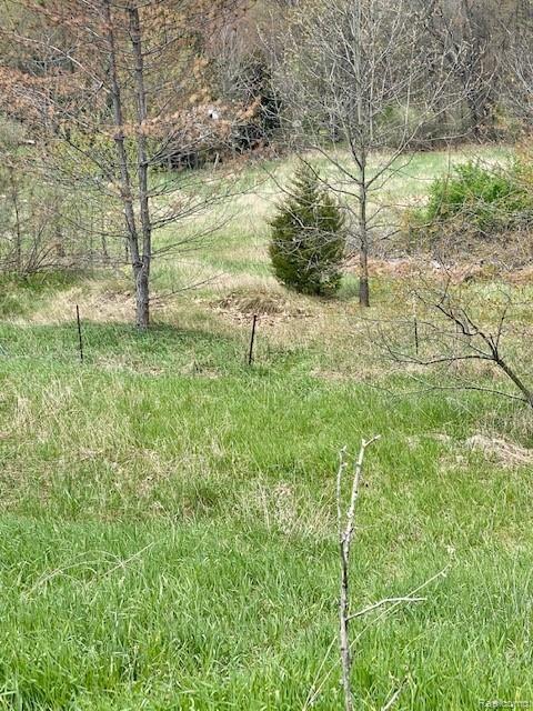 5638 Hinkley Road Stockbridge, MI 49285 - Photo 23 of 23 IMG_2100.jpg
