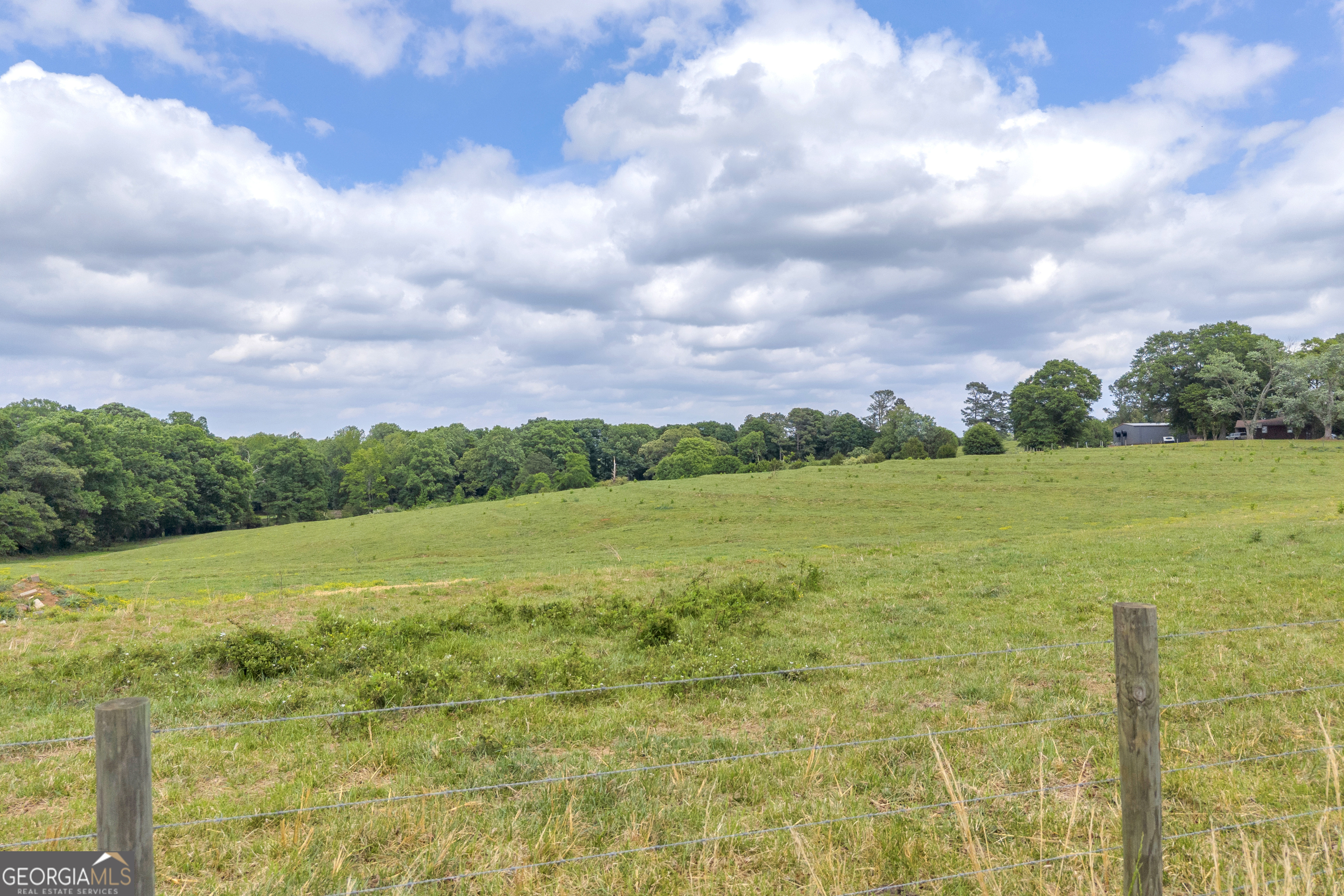 6490 Highway 145 Carnesville, GA 30521 - Photo 9 of 29 a view of a field with an ocean