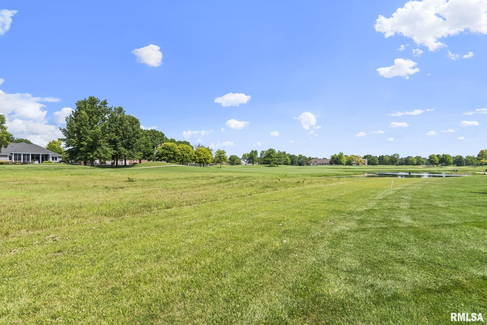 3217 Eagle Watch Drive Springfield, IL 62711 - Photo 46 of 58 Gallery Image 46
