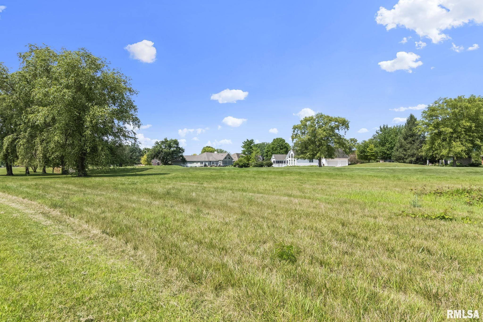 3217 Eagle Watch Drive Springfield, IL 62711 - Photo 47 of 58 Gallery Image 47