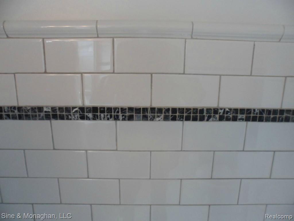 655 Rivard Boulevard Grosse Pointe, MI 48230 - Photo 20 of 26 SAM_1643.jpg